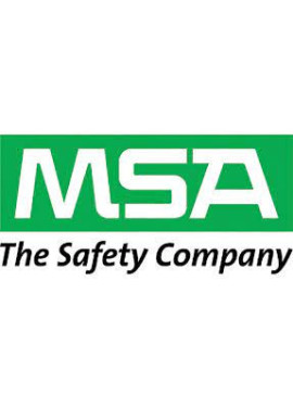 MSA Inc.